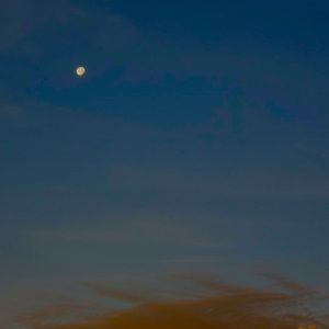 Meet your Posher, Evie